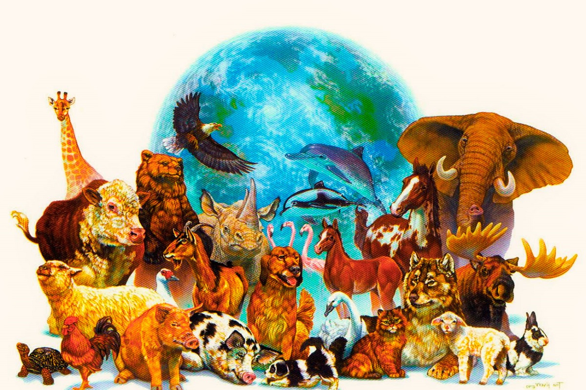 Diversidad de animales