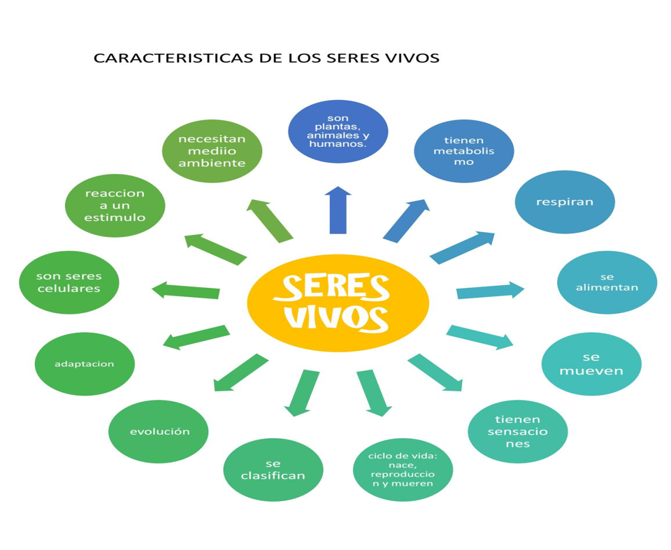seres vivos