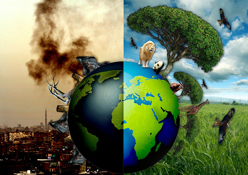 Bosque y contaminación ambiental
