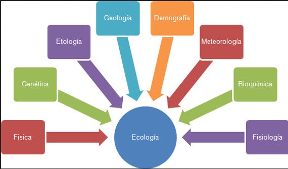 Ecosistema y diversidad biológica