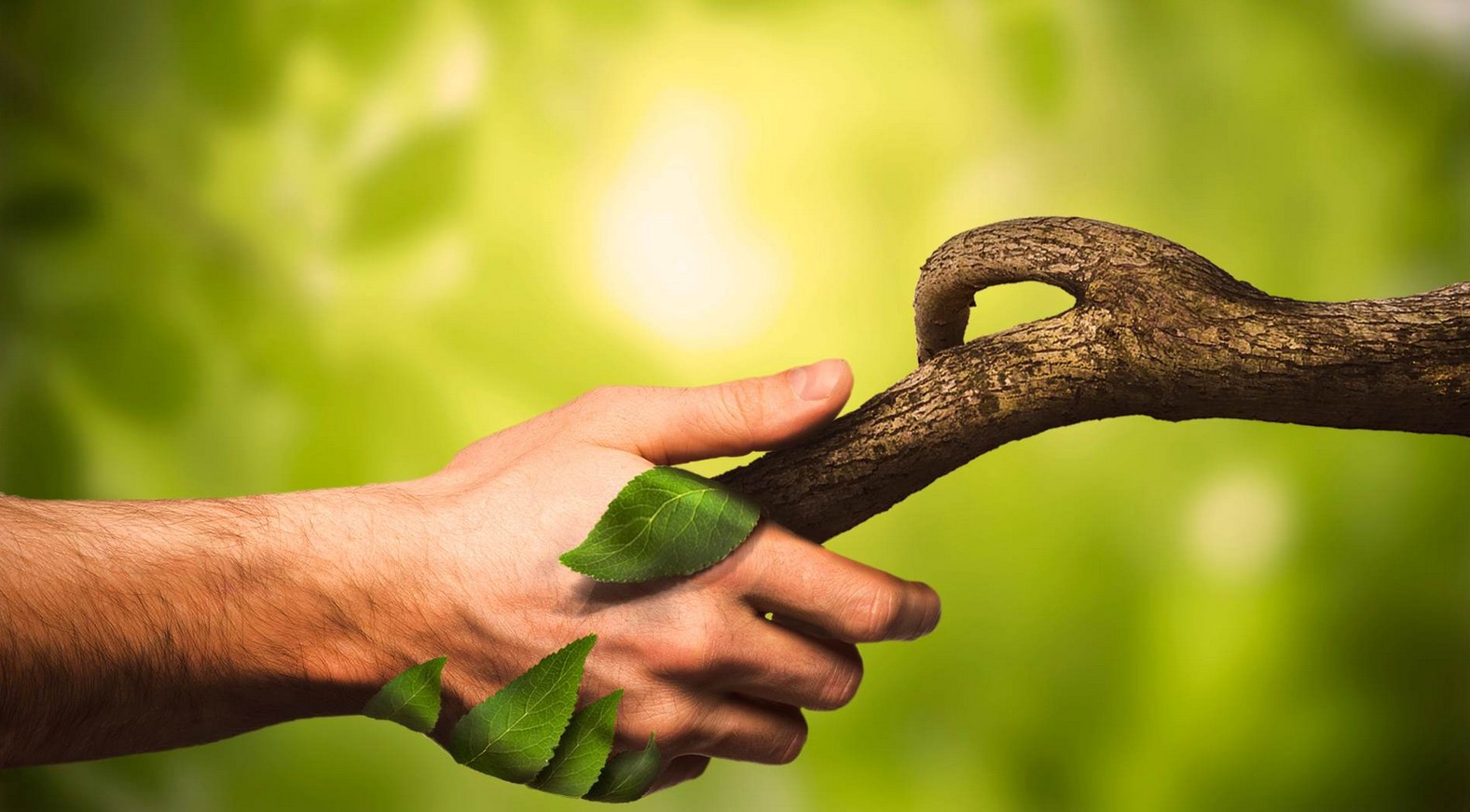 Relación del ser humano con la naturaleza
